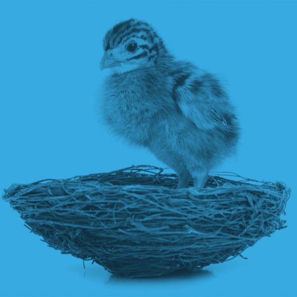 Learning to Fly, Online Self-paced Learning